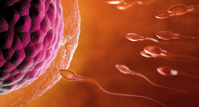 Γονιμότητα Και Αύξηση Του Όγκου Του Σπέρματος
